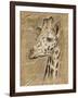 Safari Giraffe-Chad Barrett-Framed Art Print