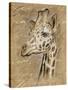 Safari Giraffe-Chad Barrett-Stretched Canvas