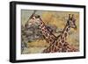 Safari Giraffes-Madelaine Morris-Framed Art Print