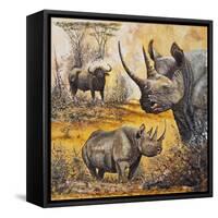 Safari I-Peter Blackwell-Framed Stretched Canvas