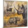 Safari I-Peter Blackwell-Mounted Art Print