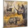 Safari I-Peter Blackwell-Mounted Premium Giclee Print