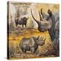 Safari I-Peter Blackwell-Stretched Canvas