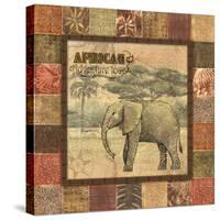 Safari II-Charlene Audrey-Stretched Canvas