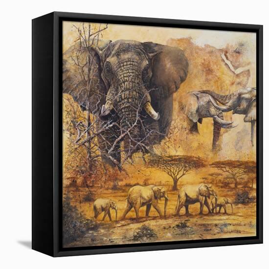 Safari II-Peter Blackwell-Framed Stretched Canvas