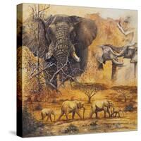 Safari II-Peter Blackwell-Stretched Canvas