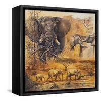 Safari II-Peter Blackwell-Framed Stretched Canvas