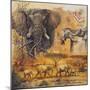 Safari II-Peter Blackwell-Mounted Art Print