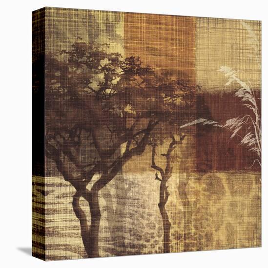 Safari III-Tandi Venter-Stretched Canvas
