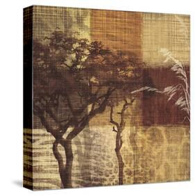 Safari III-Tandi Venter-Stretched Canvas