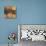 Safari III-Tandi Venter-Stretched Canvas displayed on a wall