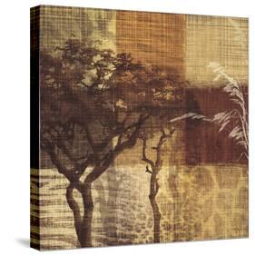 Safari III-Tandi Venter-Stretched Canvas