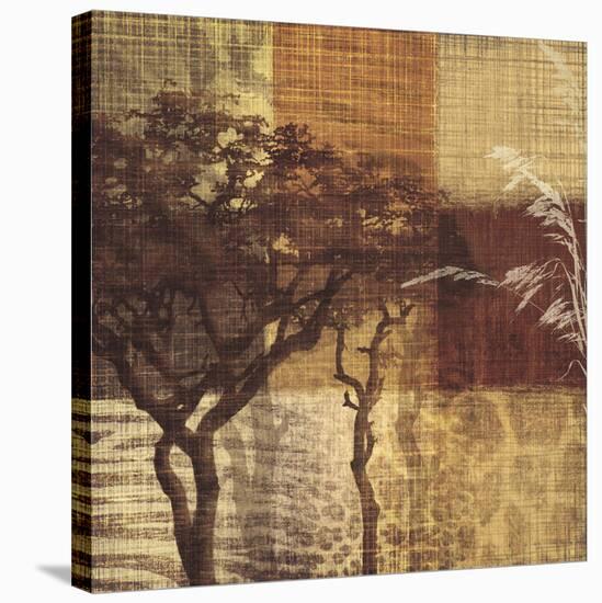 Safari III-Tandi Venter-Stretched Canvas