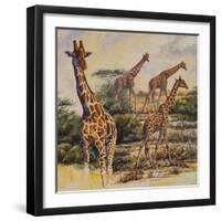 Safari III-Peter Blackwell-Framed Art Print