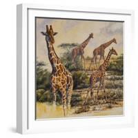 Safari III-Peter Blackwell-Framed Art Print