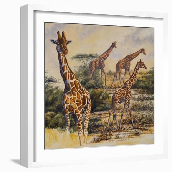 Safari III-Peter Blackwell-Framed Art Print