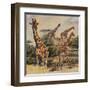 Safari III-Peter Blackwell-Framed Art Print