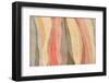 Safari Inspiration-momnoi-Framed Photographic Print