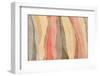 Safari Inspiration-momnoi-Framed Photographic Print