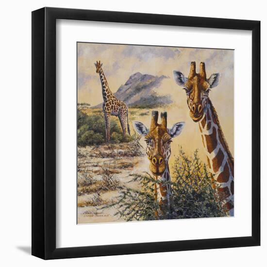 Safari IV-Peter Blackwell-Framed Art Print