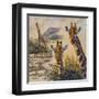 Safari IV-Peter Blackwell-Framed Art Print