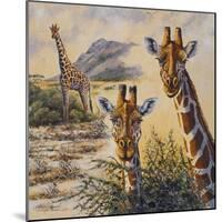 Safari IV-Peter Blackwell-Mounted Art Print