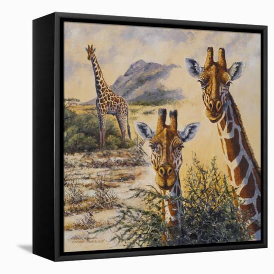 Safari IV-Peter Blackwell-Framed Stretched Canvas