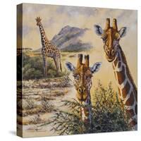 Safari IV-Peter Blackwell-Stretched Canvas
