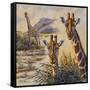 Safari IV-Peter Blackwell-Framed Stretched Canvas