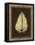 Safari Leaves I-Vision Studio-Framed Stretched Canvas