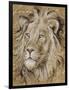 Safari Lion-Chad Barrett-Framed Art Print