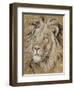 Safari Lion-Chad Barrett-Framed Art Print