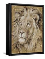 Safari Lion-Chad Barrett-Framed Stretched Canvas