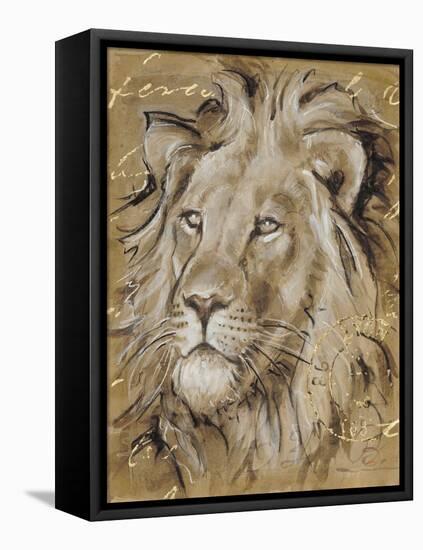 Safari Lion-Chad Barrett-Framed Stretched Canvas