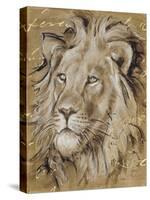 Safari Lion-Chad Barrett-Stretched Canvas