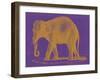 Safari Pop II-Studio W-Framed Art Print