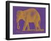 Safari Pop II-Studio W-Framed Art Print