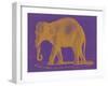 Safari Pop II-Studio W-Framed Art Print