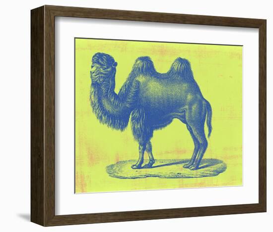 Safari Pop IV-Studio W-Framed Art Print