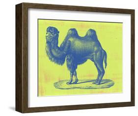 Safari Pop IV-Studio W-Framed Art Print