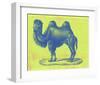 Safari Pop IV-Studio W-Framed Art Print