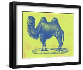 Safari Pop IV-Studio W-Framed Art Print