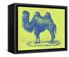 Safari Pop IV-Studio W-Framed Stretched Canvas