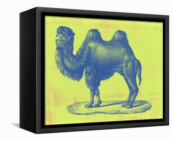 Safari Pop IV-Studio W-Framed Stretched Canvas
