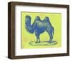 Safari Pop IV-Studio W-Framed Art Print