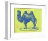 Safari Pop IV-Studio W-Framed Art Print