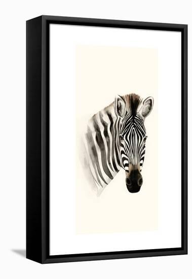 Safari Portrait II-Grace Popp-Framed Stretched Canvas