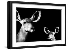 Safari Profile Collection - Antelope and Baby Black Edition II-Philippe Hugonnard-Framed Photographic Print