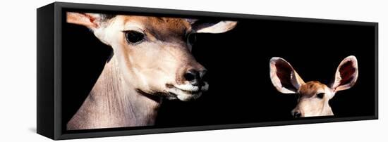 Safari Profile Collection - Antelope and Baby Black Edition III-Philippe Hugonnard-Framed Stretched Canvas