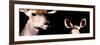 Safari Profile Collection - Antelope and Baby Black Edition III-Philippe Hugonnard-Framed Photographic Print